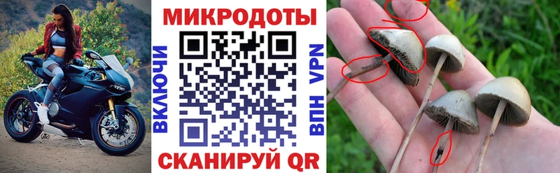 закладки Биробиджан Галлюциногенные грибы мицелий