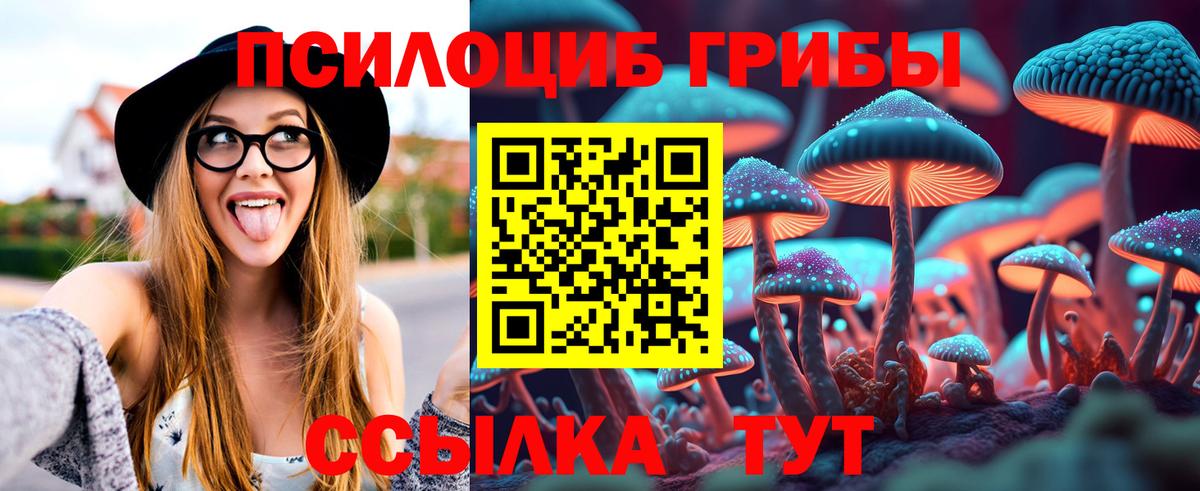 Псилоцибиновые грибы Psilocybine cubensis  где продают наркотики  Биробиджан  Галлюциногенные грибы Magic Shrooms 