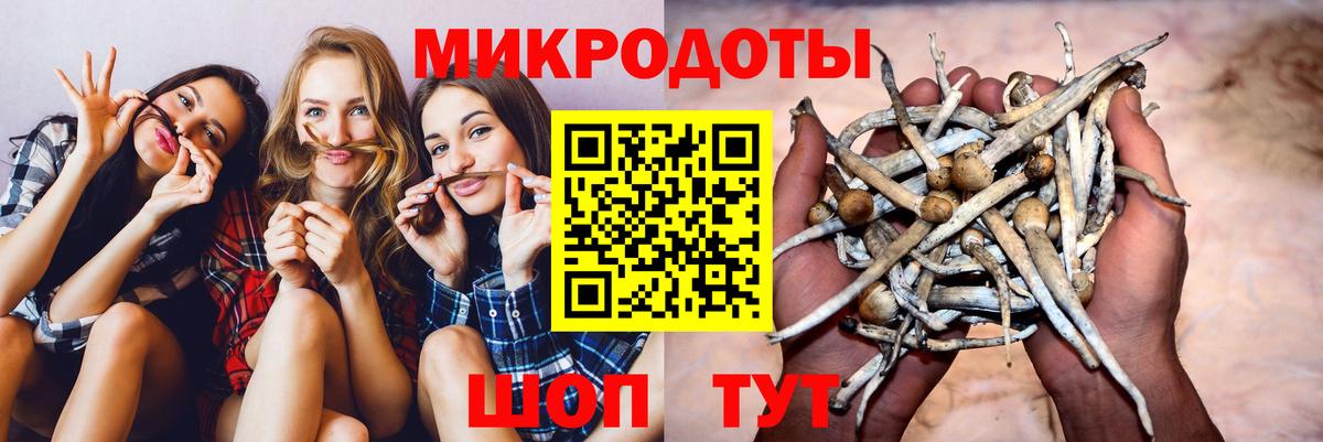 Псилоцибиновые грибы мухоморы Биробиджан