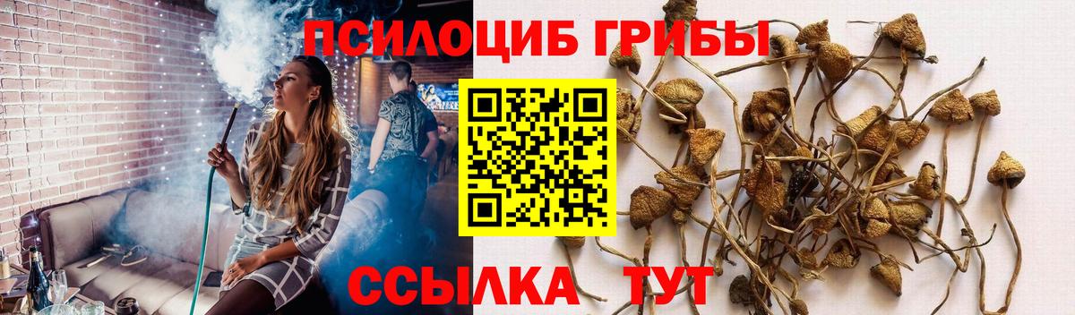 Биробиджан  Галлюциногенные грибы GOLDEN TEACHER  Вход с VPN 